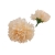 florpol.pl 14911.jpg