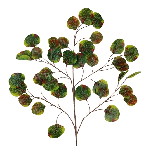 Eukaliptus populus - gałąź 12szt ciemna zieleń/bordo (50DZS_925-007 #4)