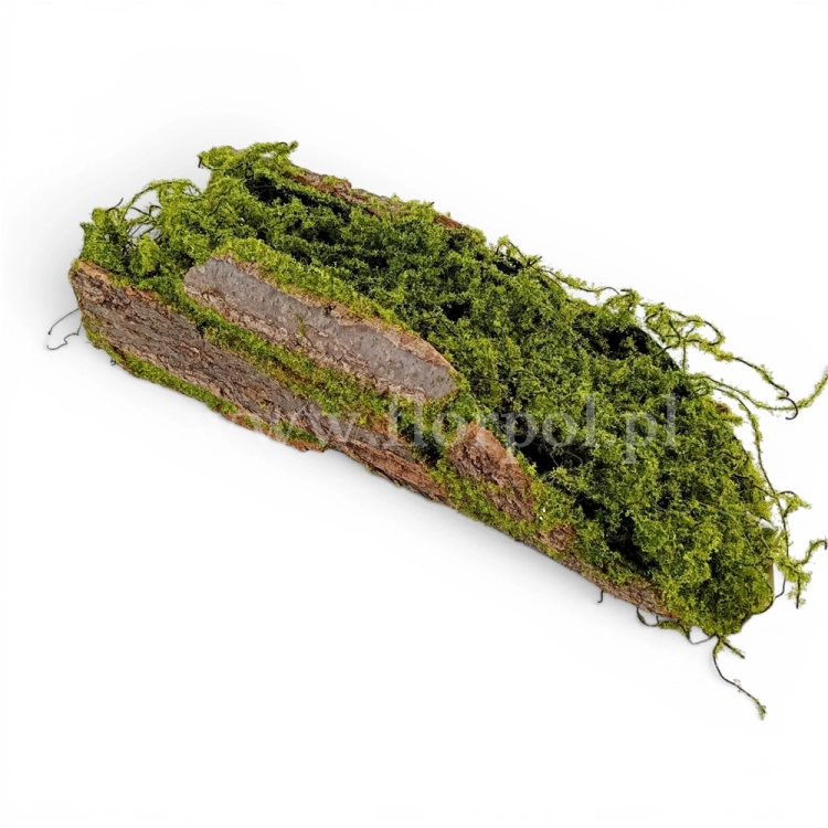 florpol.pl15038.jpg