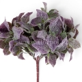 florpol.pl15033.jpg