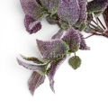 florpol.pl15034.jpg