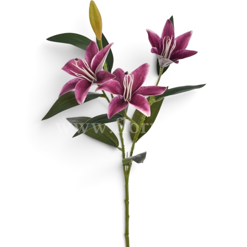 Lilijka pojedyncza na łodydze  dr.beauty (LEV042)