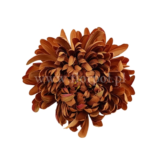 Chryzantema wyrobowa - head crab 12szt #3377 gold brown (SUN775)