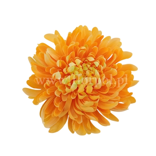 Chryzantema wyrobowa - head crab 12szt #3372 sunny yellow (SUN775)