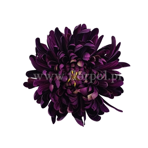Chryzantema wyrobowa - head crab 12szt #3370 aubergine (SUN775)