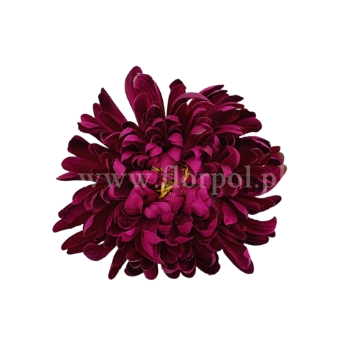 Chryzantema wyrobowa - head crab 12szt #3043 burgundy (SUN775)