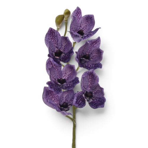 Storczyk piankowy ultra violet (LEV016) 