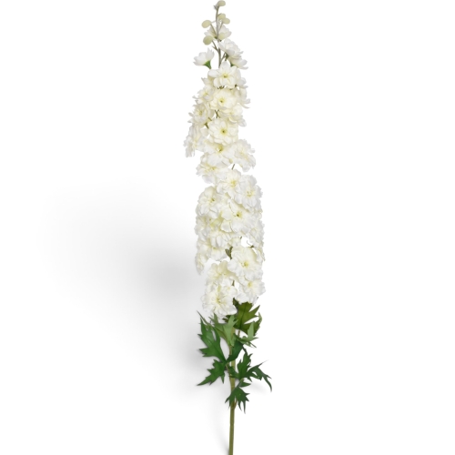 Ostróżka pojedyncza 3323;WHITE GREEN (SUN912) 