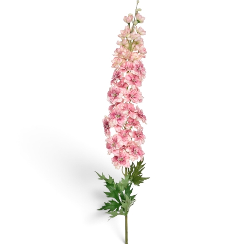 Ostróżka pojedyncza 3720;POWDER PINK (SUN912)