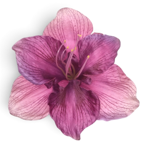 Amarylis wyrobowy 6 szt LT.EGGPLANT (SUN422S) 