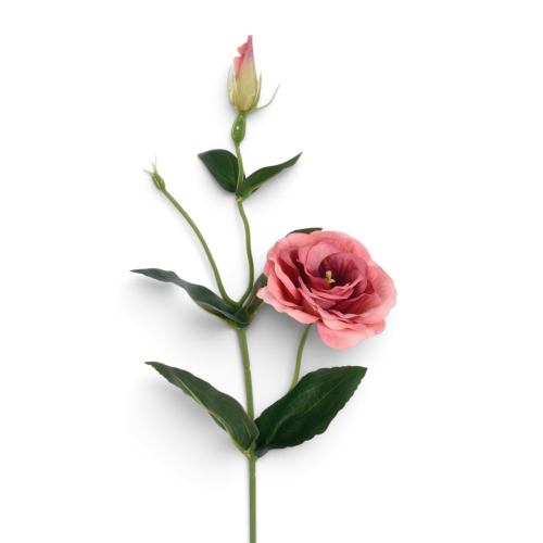 Eustoma gałązka BURNT SIENNA (SUN901) 