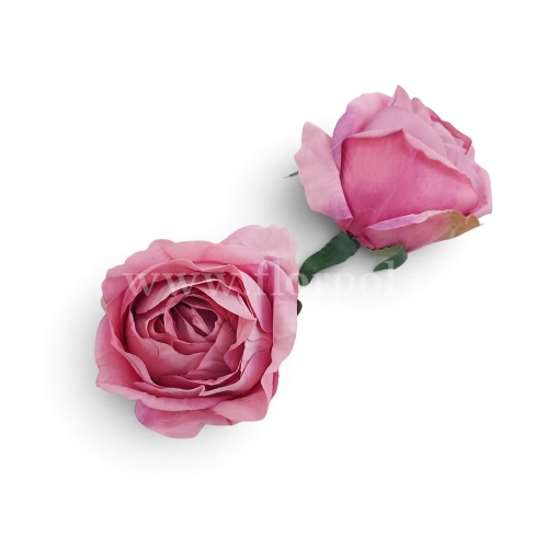 Główka różana Agatka 12szt #4 pink/cream (WLA55507)