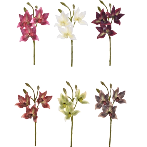Cymbidium cieniowane pianka - karton 24szt mix 3(LEV023)   