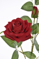 ERA1045##RUBIN#3_m.jpg