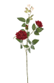 ERA1045##RUBIN#1_m.jpg
