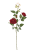 ERA1045##RUBIN#1_m.jpg