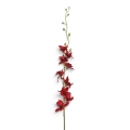 IMG_3142-Photoroom.jpeg