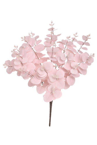 Eukaliptus bukiet SWEET PINK (LIU007)  