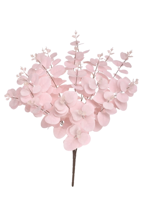 IMG_3152.png