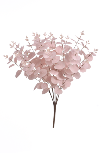 Eukaliptus bukiet  POWDER PINK(LIU007)   
