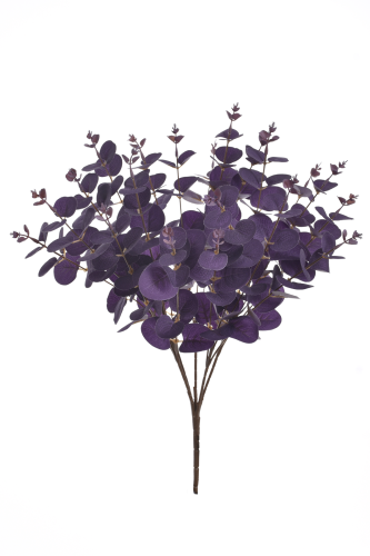 Eukaliptus bukiet  DEEP PURPLE (LIU007)    