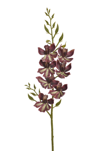 Orchidea pianka GOLD BROWN (LEV034) 