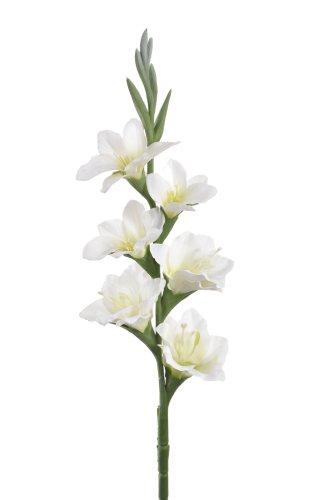  Mieczyk pojedynczy Real Touch (TPY1006) WHITE GREEN