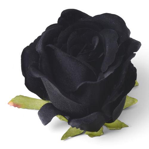 Róża wyrobowa 12szt #75 BLACK (MGHT) 
