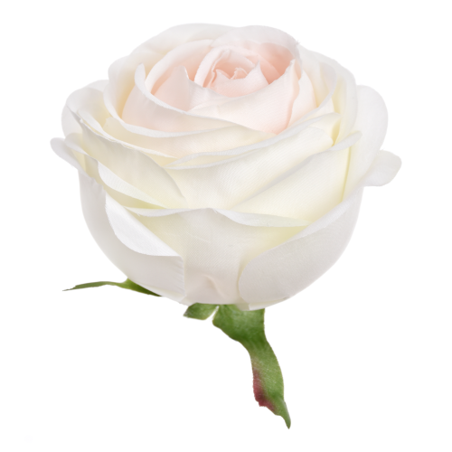 SUN564#1747#CREAM LT PINK_m.png