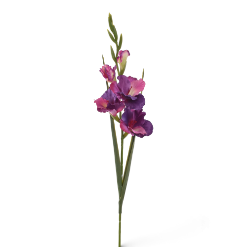  Mieczyk  pojedynczy PURPLE GREEN (ERA1048)   