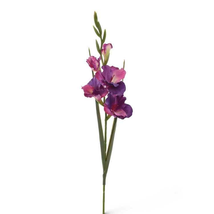 ERA1048#4#PURPLE GREEN_m.png