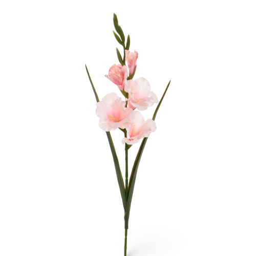 ERA1048#10#LT PINK_m.png
