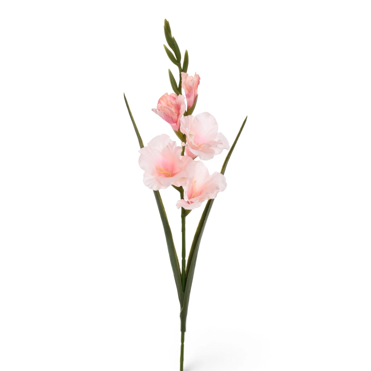 ERA1048#10#LT PINK_m.png