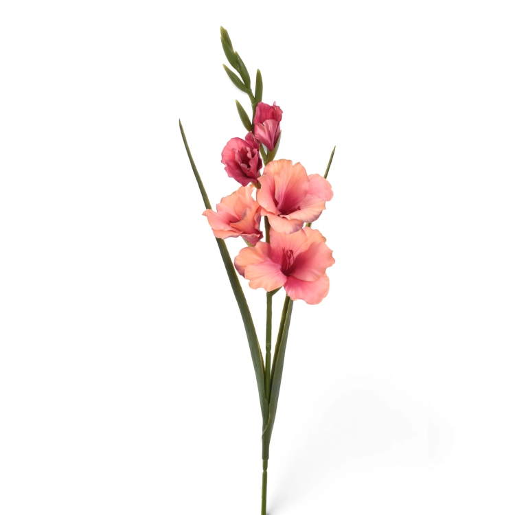 ERA1048#11#MAUVE_m.png