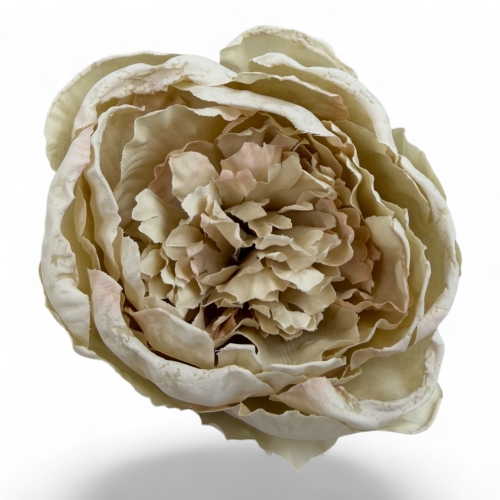 Wyrobowa zasuszana różo-peonia #2 12szt (5T0610) 