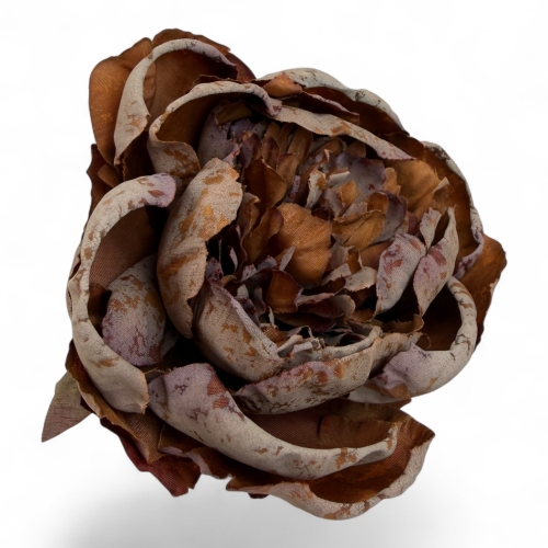 Wyrobowa zasuszana różo-peonia #5 12szt (5T0610) 
