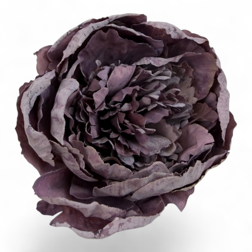 Wyrobowa zasuszana różo-peonia #9 12szt (5T0610) 