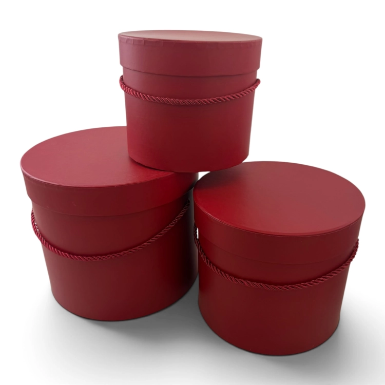 IMG_3444-Photoroom.jpeg