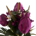 IMG_3495-Photoroom.jpeg