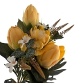 IMG_3499-Photoroom.jpeg