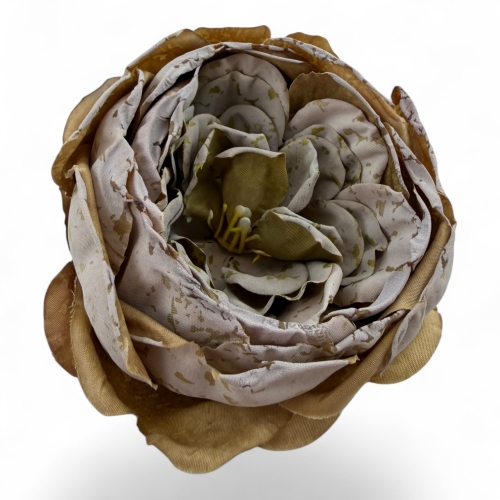 peonia zasuszana otwarta 12szt # 4 blada zieleń (T110-2530H)
