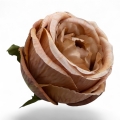 IMG_3820-Photoroom.jpeg