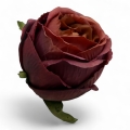 IMG_3816-Photoroom.jpeg