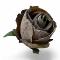 IMG_3913-Photoroom.jpeg