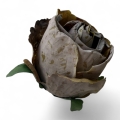 IMG_3912-Photoroom.jpeg