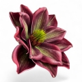 IMG_3985-Photoroom.jpeg