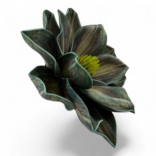 Magnolia wyrobowa pianka #7 