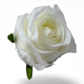 IMG_4069-Photoroom.jpg
