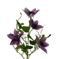 IMG_4112-Photoroom.jpeg