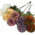 IMG_4264-Photoroom.jpg